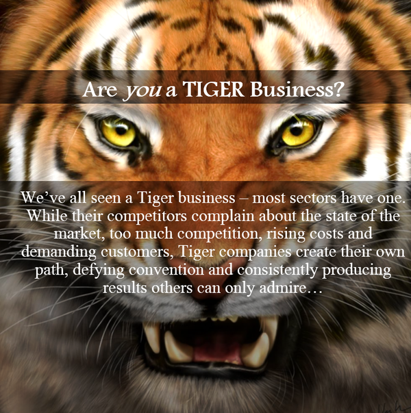 Tiger Business