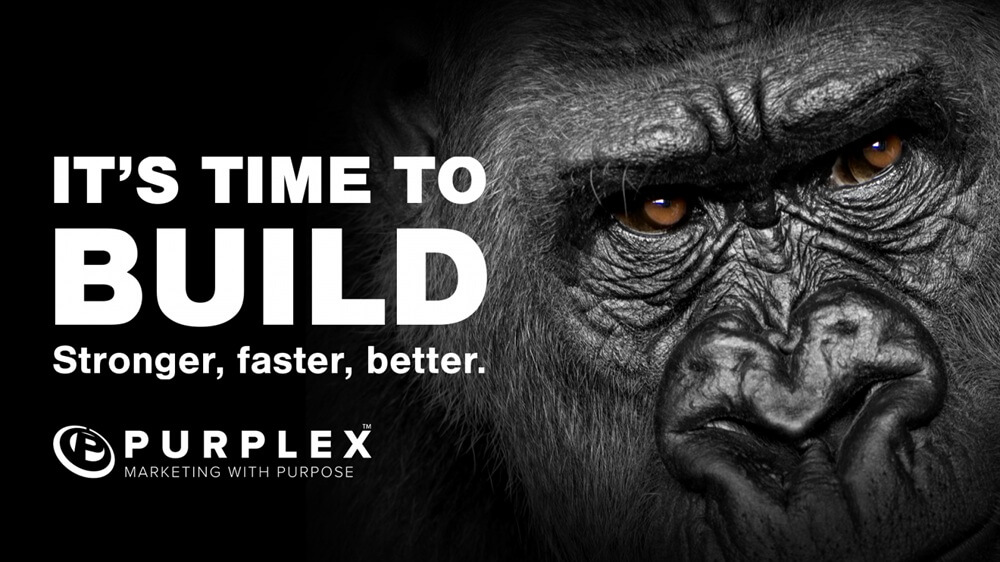 Businesses urged to build Purplex marketing campaign image with gorilla face and bold message
