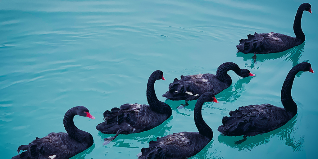 Surviving a Black Swan event